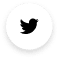 twiter